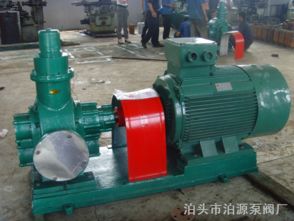 齐全 kcg型高温齿轮泵 泊头市泊源泵阀厂
