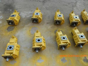 专业双联齿轮油泵选购指南 厂家、型号、质量与价格全解析